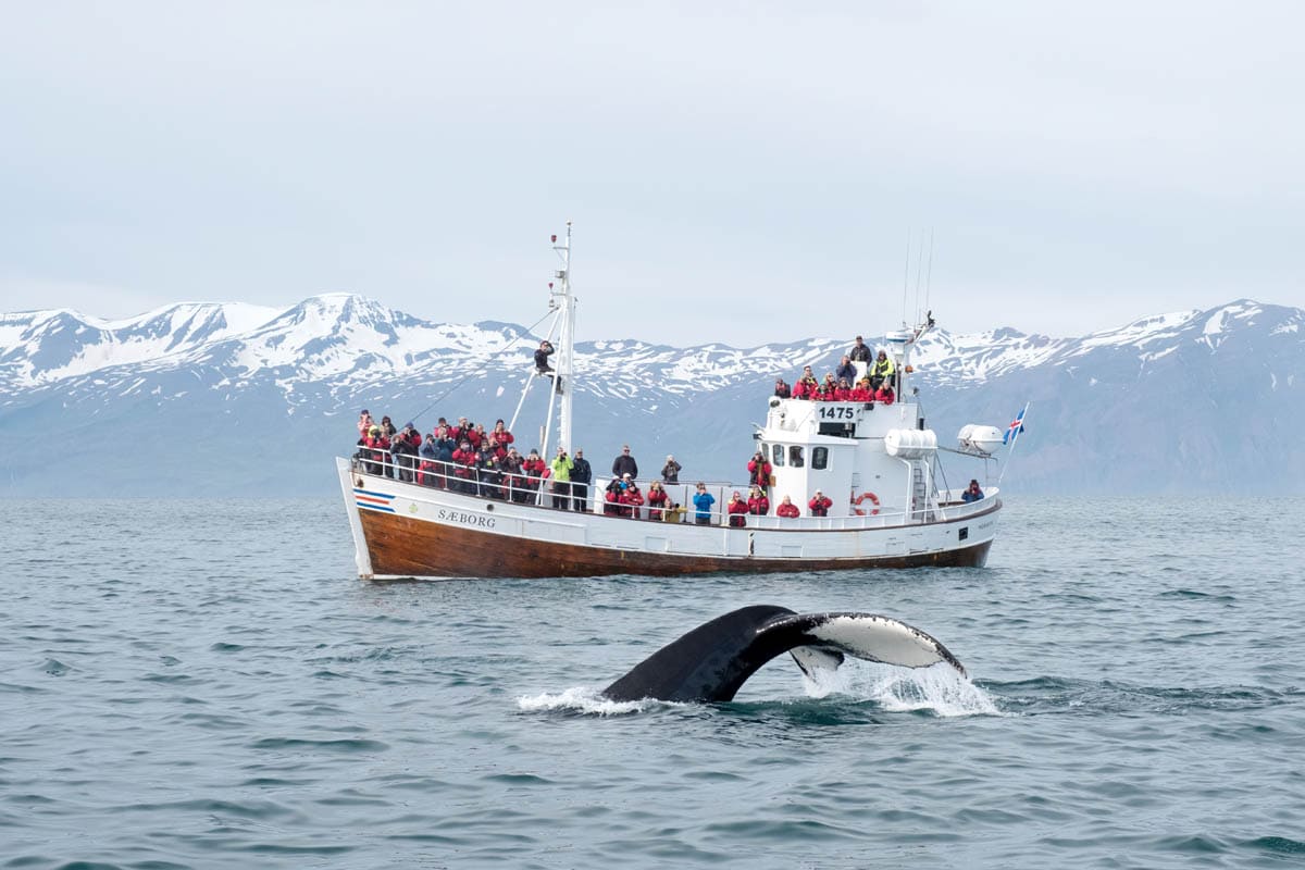 5 hoogtepunten van Noord-IJsland - Reislegende.nl