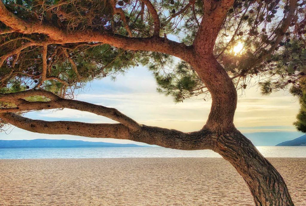 Zlatni Rat, Island of Brac, Kroatië