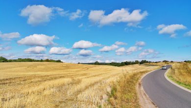 Roadtrip in Denemarken