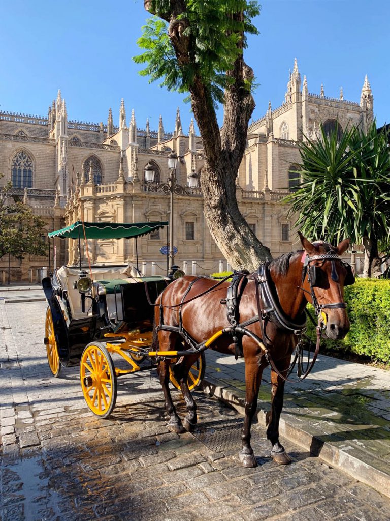 Kathedraal van Sevilla - Sevilla tips: 15 dingen om te doen en te zien - Reislegende.nl