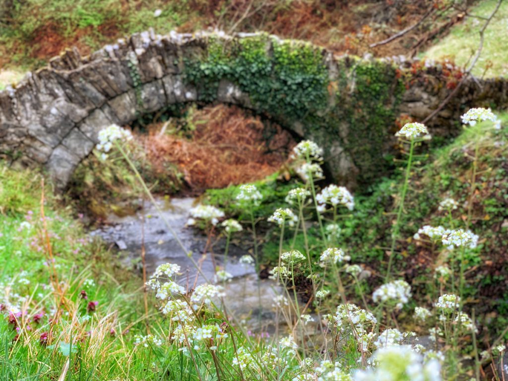 Stone bridge of Goura - Zagori - Bruggen van Zagoria in noorden van Griekenland - Reislegende.nl