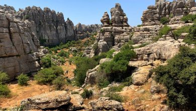 Wandelen in El Torcal de Antequera - Reislegende.nl