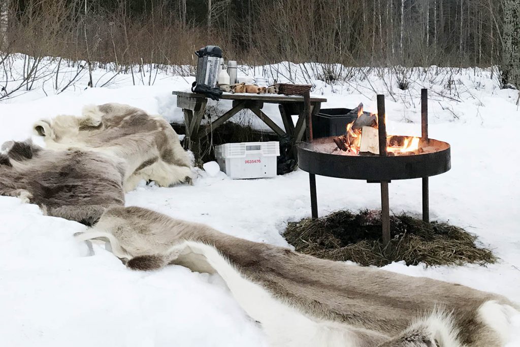 Outdoor activiteiten in Zuid Finland winter - Reislegende.nl