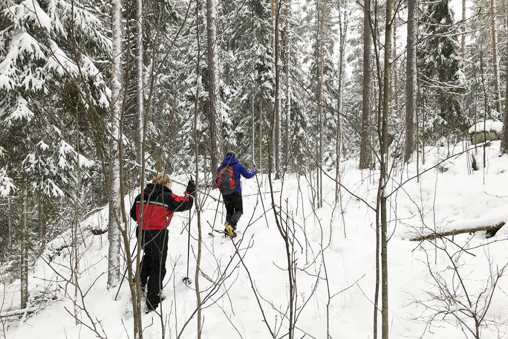 Sneeuwschoen wandelen in zuid Finland Lakeland - Reislegende.nl