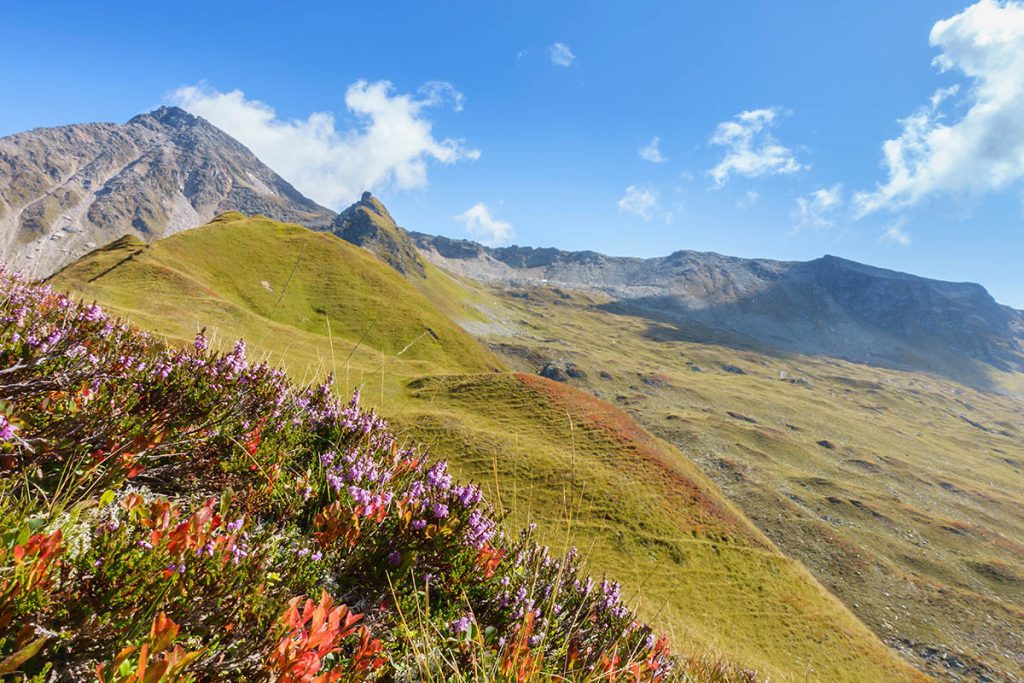 5 voordelen van een zomervakantie in de bergen - Reislegende.nl