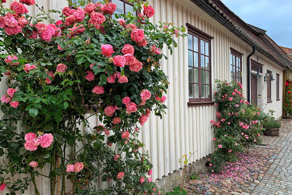 Een kijkje in het historische Fredrikstad, Noorwegen - Reislegende.nl