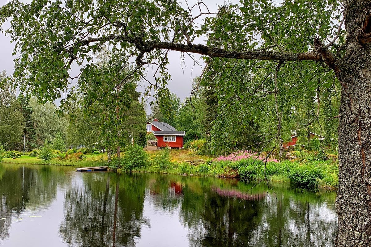 Accommodatie in Glaskogen - Wat te doen in het Zweedse Glaskogen Natuurreservaat? - Reislegende.nl