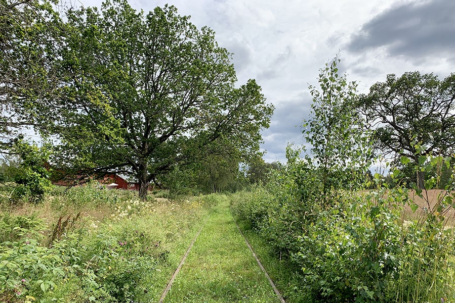 Värmland: rust, bomen en water in Zweden - Reislegende.nl