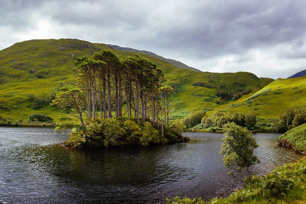 Eilean na Moine, Harry Potter filmlocaties in Schotland - Reislegende.nl