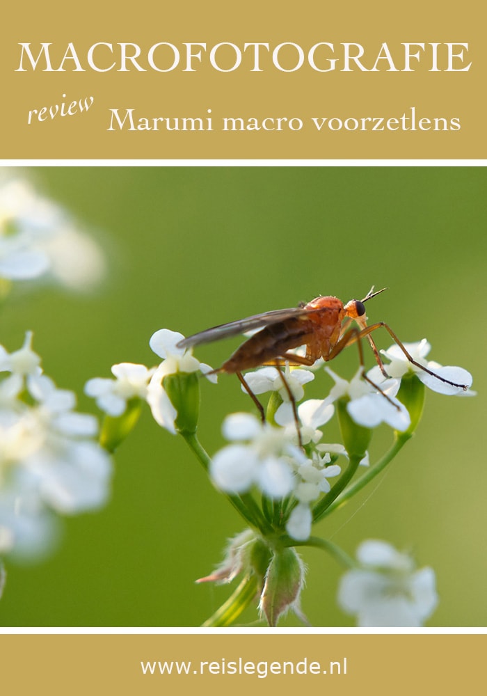 Fotograferen met een macro voorzetlens - Reislegende.nl