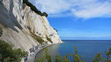 Krijtrotsen Denemarken, Møns Klint en Stevns Klint - Reislegende.nl