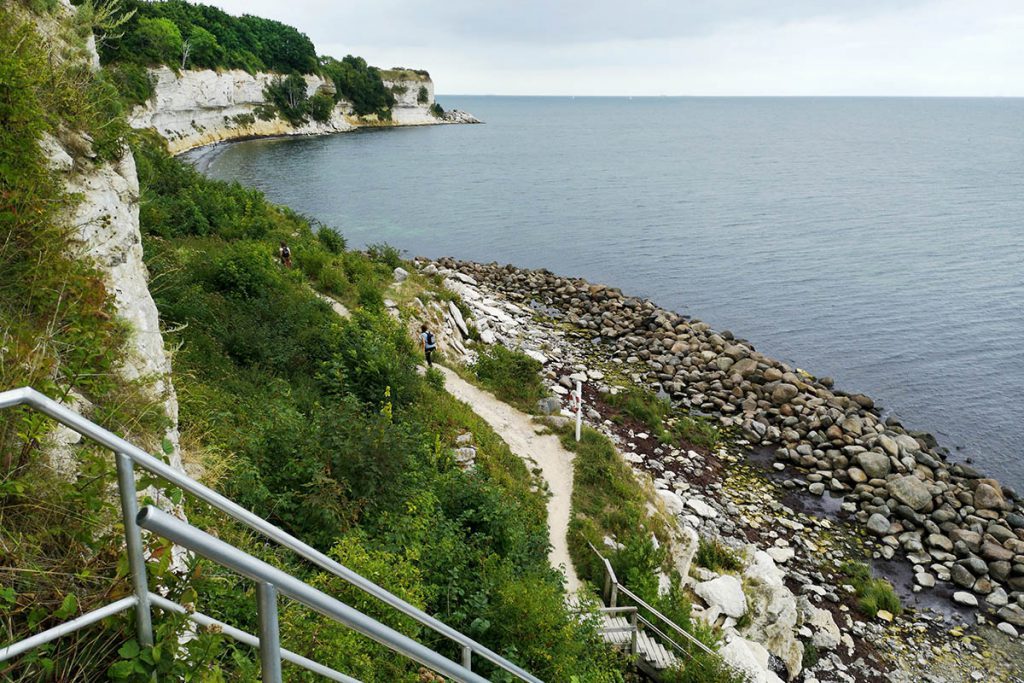 Krijtrotsen Denemarken, Møns Klint en Stevns Klint - Reislegende.nl