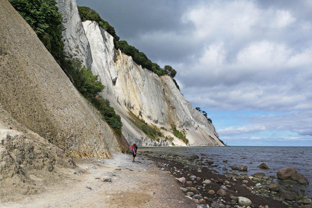 Krijtrotsen Denemarken, Møns Klint en Stevns Klint - Reislegende.nl