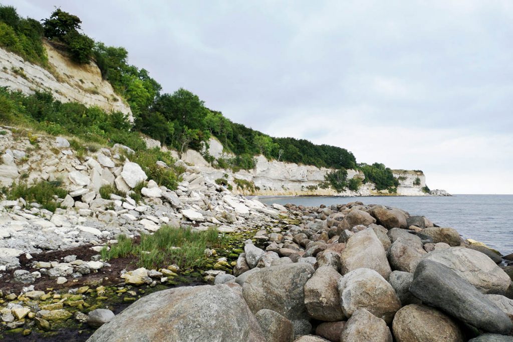 Krijtrotsen Denemarken, Møns Klint en Stevns Klint - Reislegende.nl