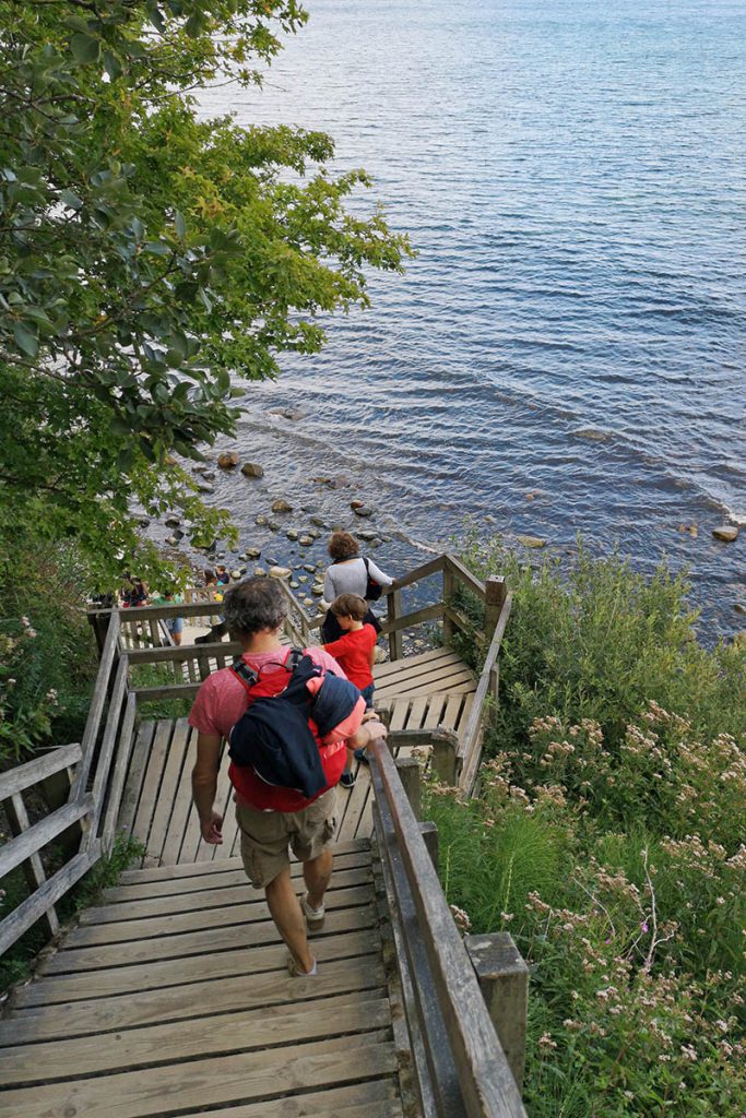 Krijtrotsen Denemarken, Møns Klint en Stevns Klint - Reislegende.nl