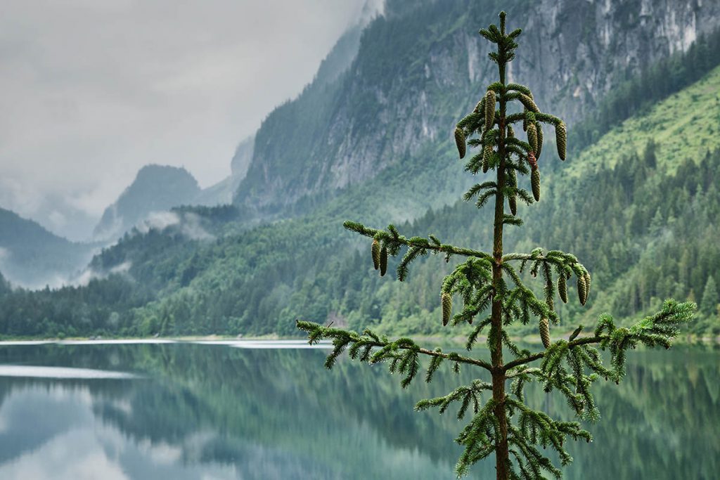 Gosausee, sprookjesachtige plek in Oberösterreich - Reislegende.nl