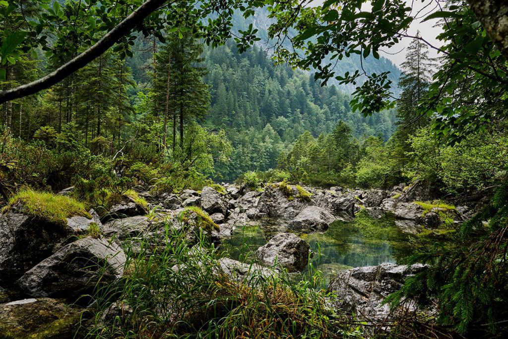 Gosaulacke, wandeling naar de Hinterer Gosausee - Reislegende.nl