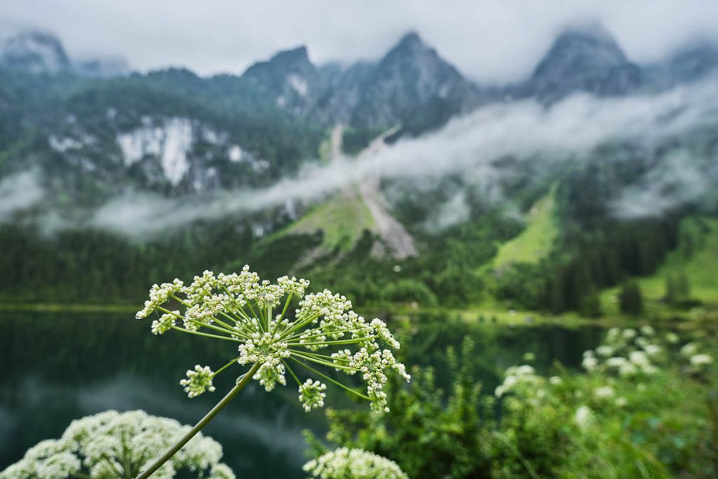 Gosausee, sprookjesachtige plek in Oberösterreich - Reislegende.nl