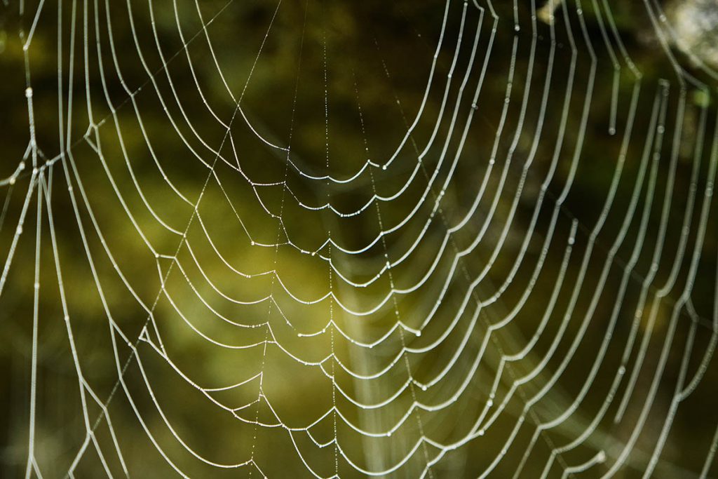 Fotograferen bij de Gosausee - Reislegende.nl