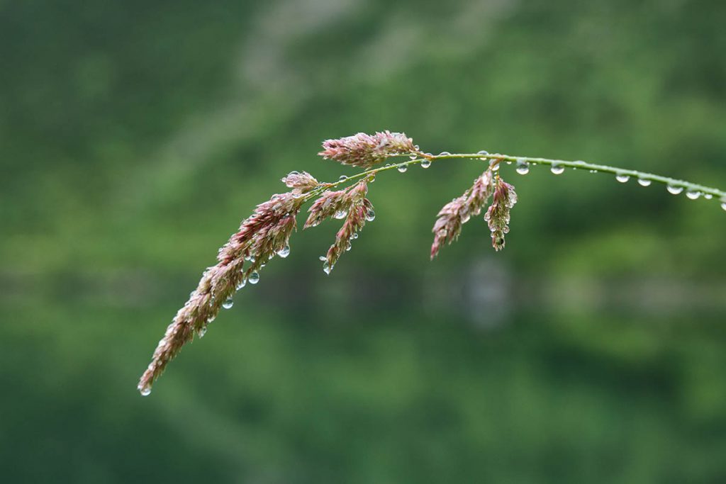 Fotograferen bij de Gosausee - Reislegende.nl