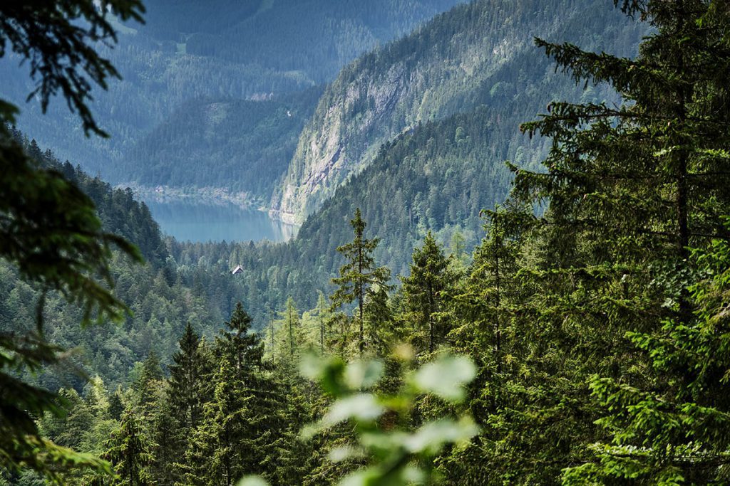 Wandeling naar de Hinterer Gosausee - Reislegende.nl