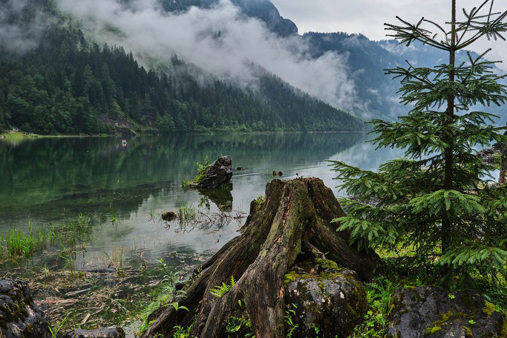 Gosausee, sprookjesachtige plek in Oberösterreich - Reislegende.nl