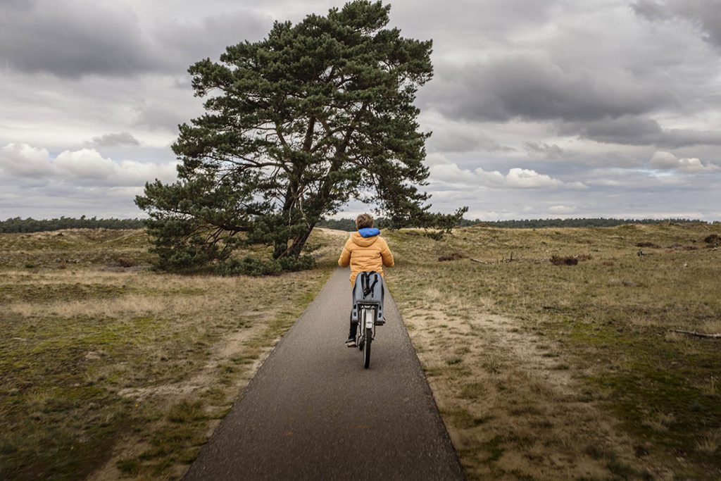 Wild spotten tijdens het fietsen op de Hoge Veluwe - Reislegende.nl