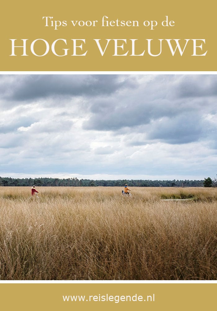 Wild spotten tijdens het fietsen op de Hoge Veluwe - Reislegende.nl