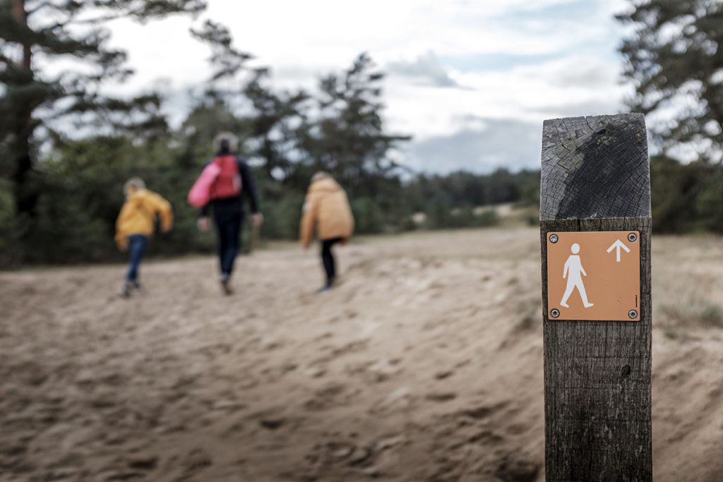 Kootwijkerzand uitkijktoren op grootste stuifzandgebied van West-Europa - Reislegende.nl