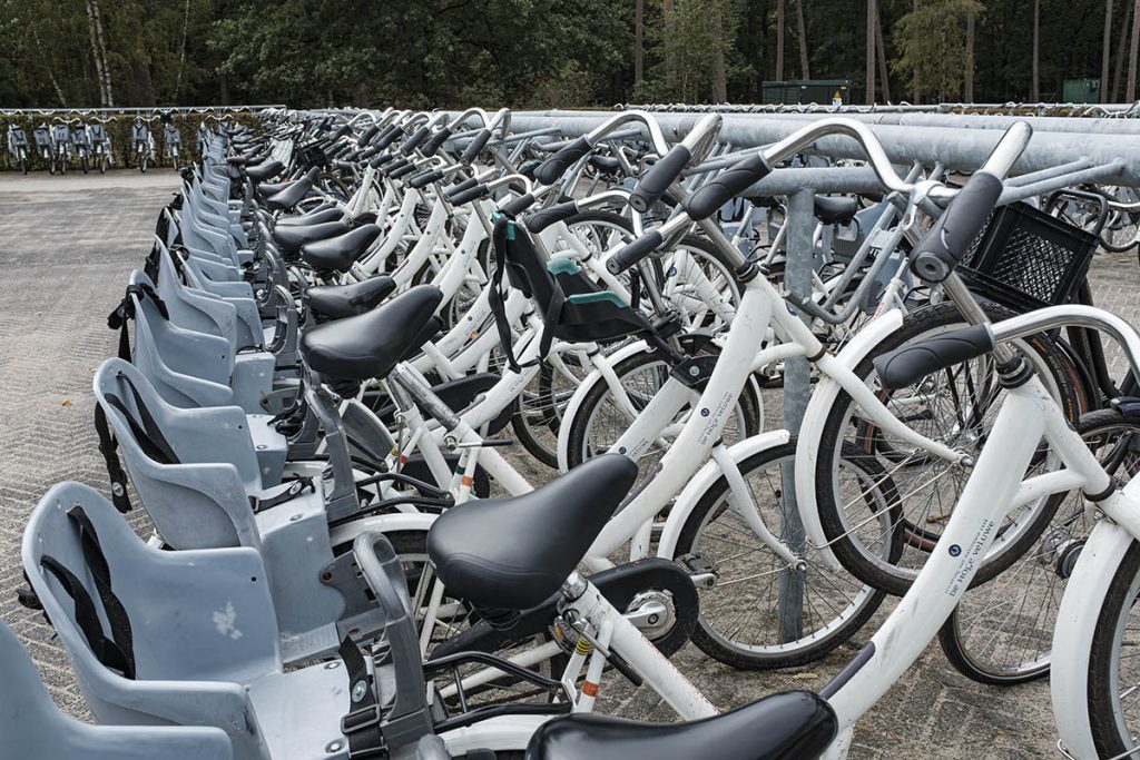 Gratis witte fietsen op de Hoge Veluwe - Fietsen op de Hoge Veluwe - Reislegende.nl