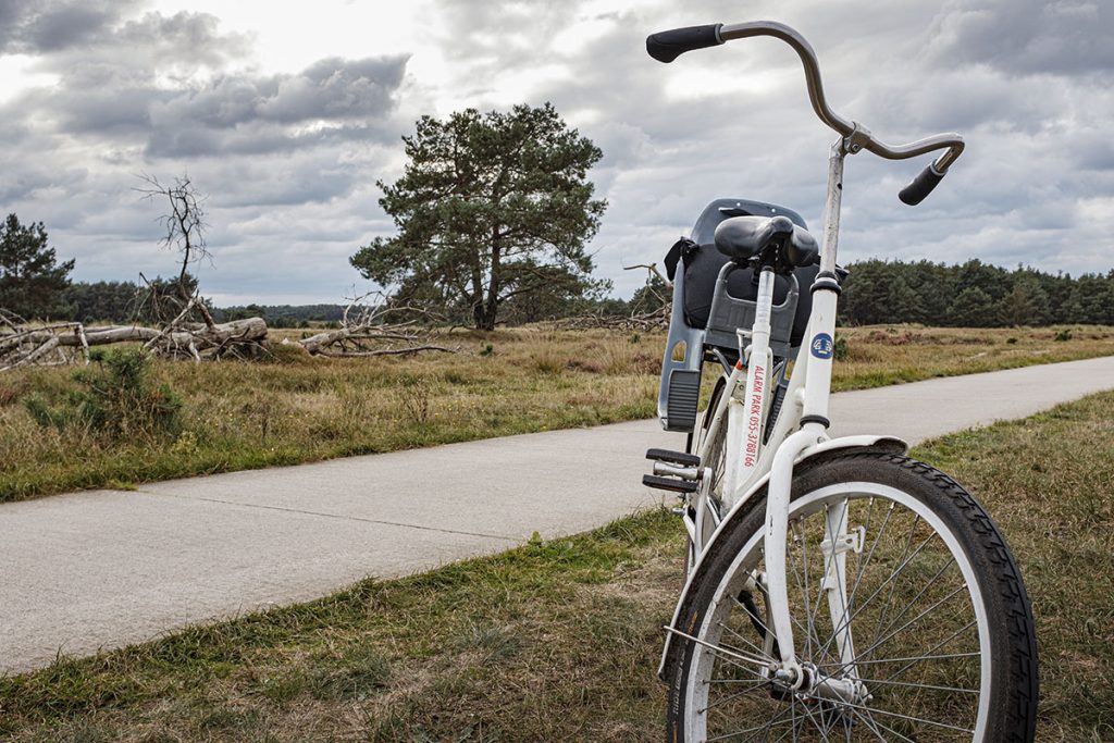 Wild spotten tijdens het fietsen op de Hoge Veluwe - Reislegende.nl