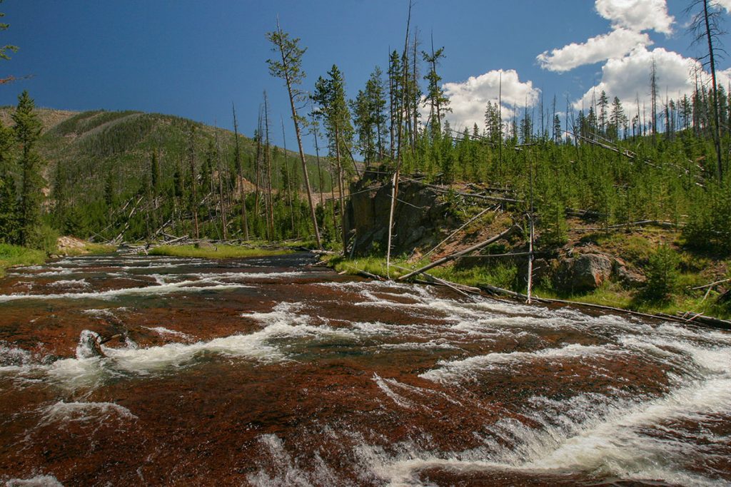 Yellowstone River - Yellowstone National Park: 10x wat je niet mag missen - Reislegende.nl