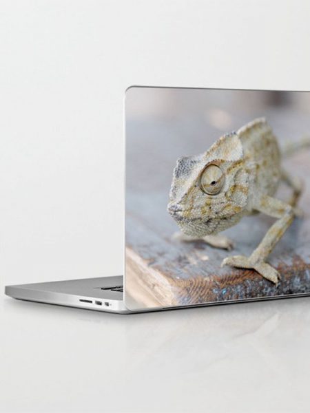 Laptop skin met cameleon - Reislegende.nl