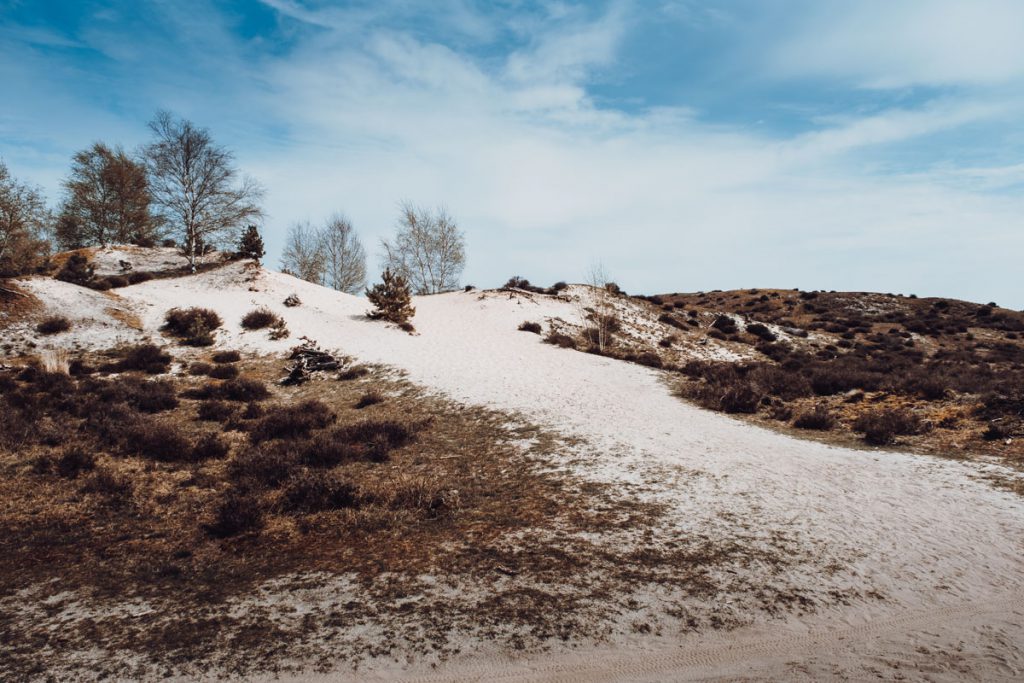 Hulshorsterzand zandverstuiving, prachtig gebied voor een korte of lange wandeling - Reislegende.nl