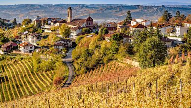 Wat te doen in Piemonte, mooie regio in het noorden van Italië - Reislegende.nl