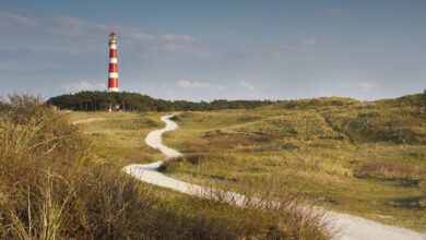 Wat te doen op Ameland? 6 tips - Reislegende.nl