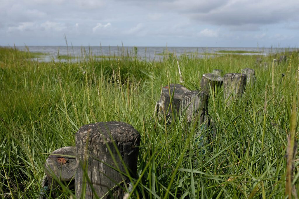 Nationaal Park de Waddenzee -Stadswandeling door Ribe, oudste stad van Denemarken - Reislegende.nl