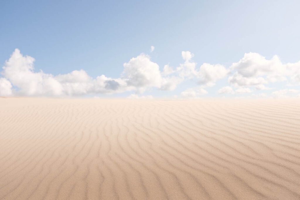 Råbjerg Mile, Noord-Jutland bezienswaardigheden en tips in het noorden van Denemarken