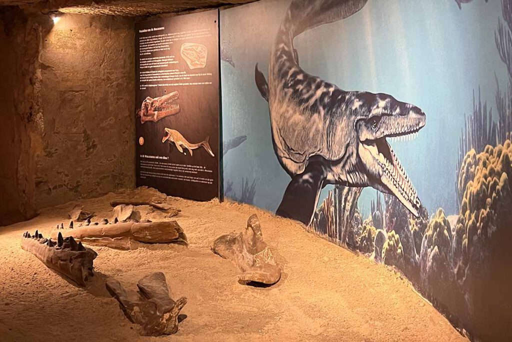Fossielen museum in Mergelrijk - Kerststad Valkenburg, wat mag je niet missen? - Reislegende.nl