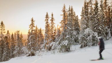 Vliegen naar Scandinavian Mountains Airport voor wintersport in Zweden - Reislegende.nl