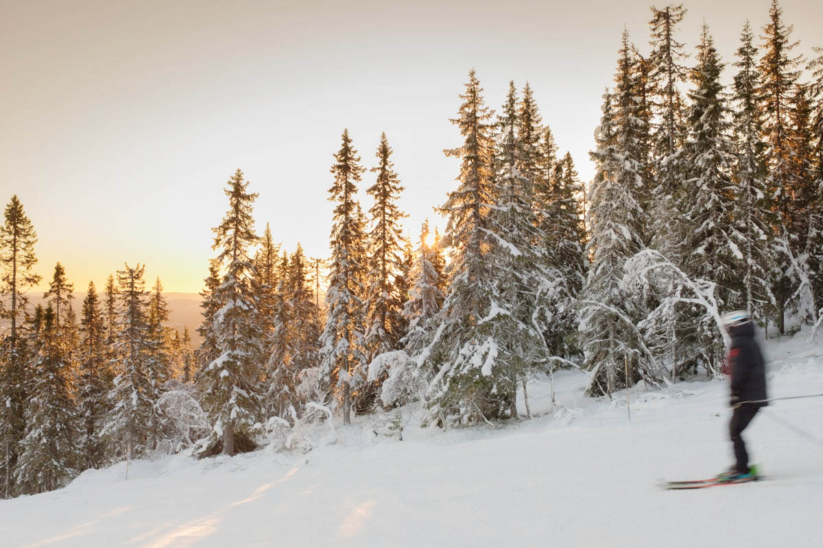 Vliegen naar Scandinavian Mountains Airport voor wintersport in Zweden - Reislegende.nl