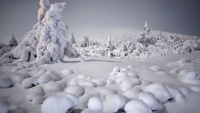 Nachtwandelen op sneeuwschoenen in Noorwegen Trysil - Reislegende.nl