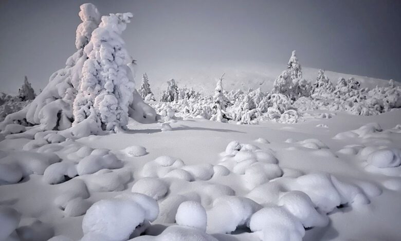 Nachtwandelen op sneeuwschoenen in Noorwegen Trysil - Reislegende.nl