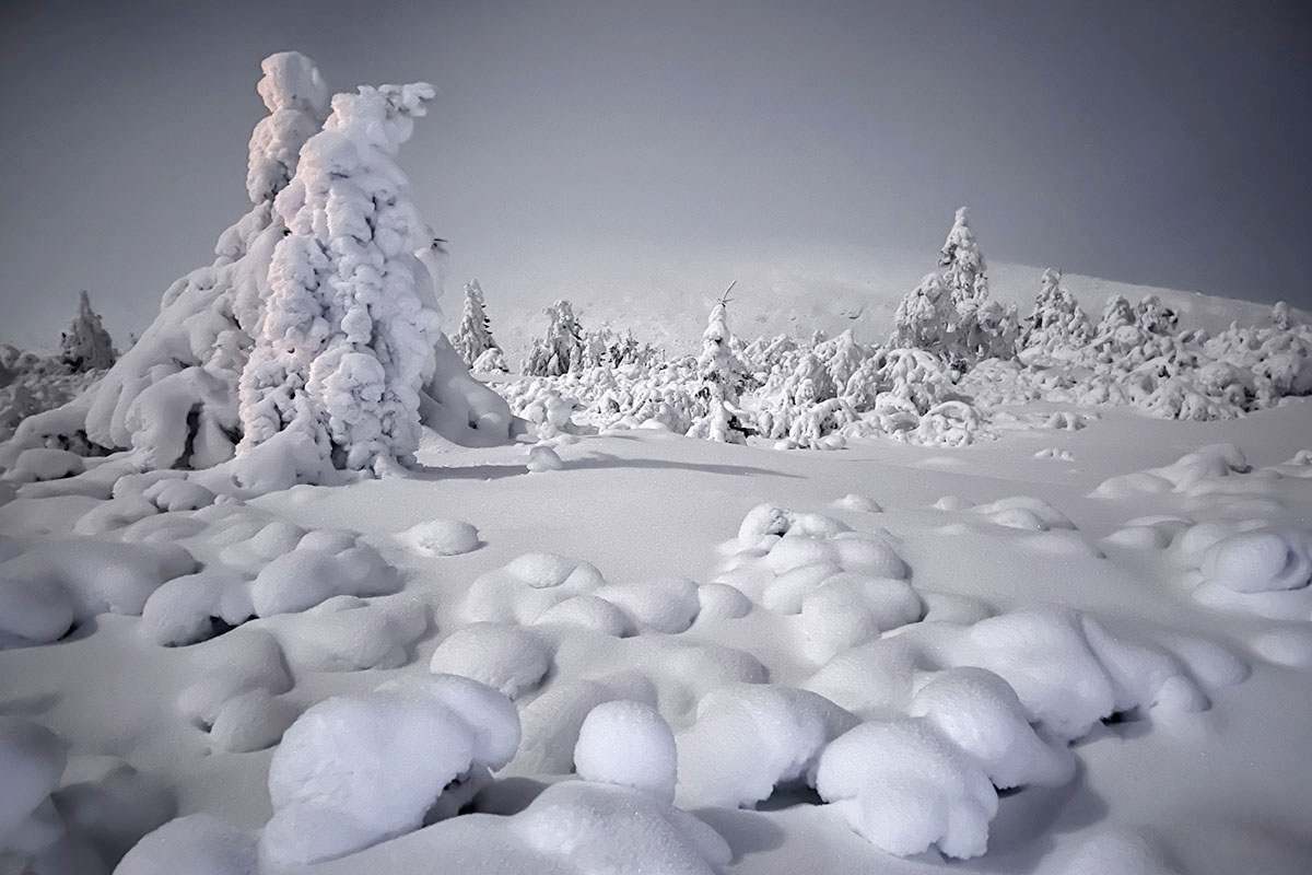 Nachtwandelen op sneeuwschoenen in Noorwegen Trysil - Reislegende.nl