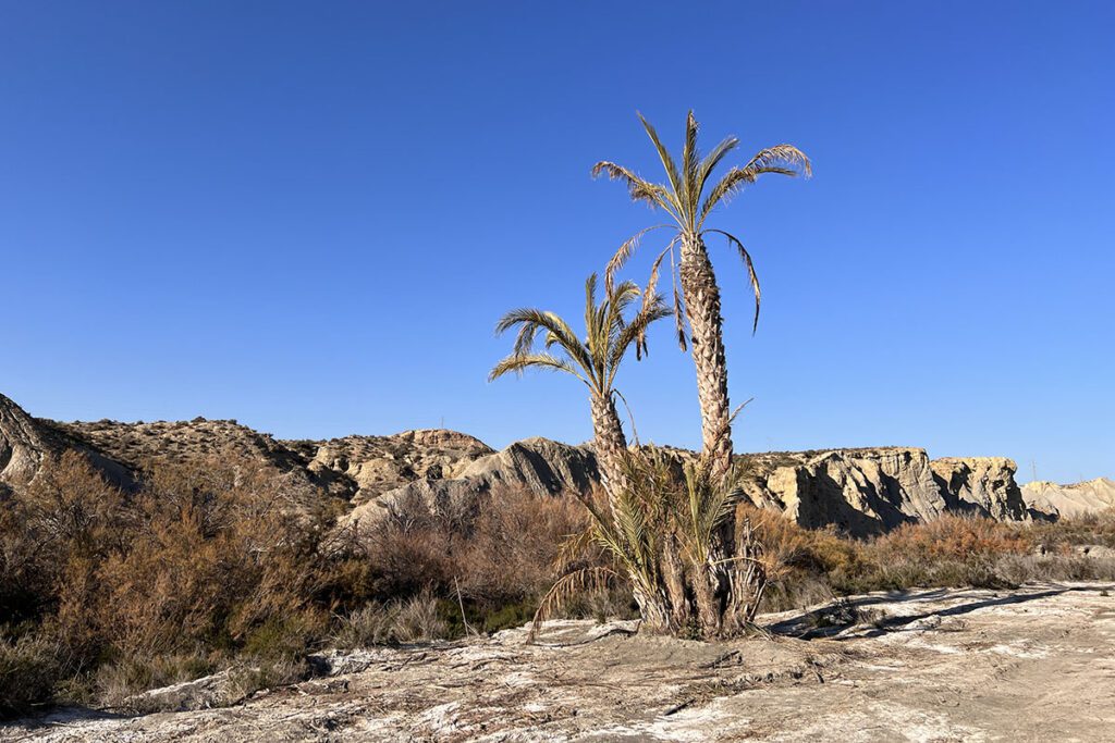 Route naar Oasis de Lawrence de Arabia - Reislegende.nl