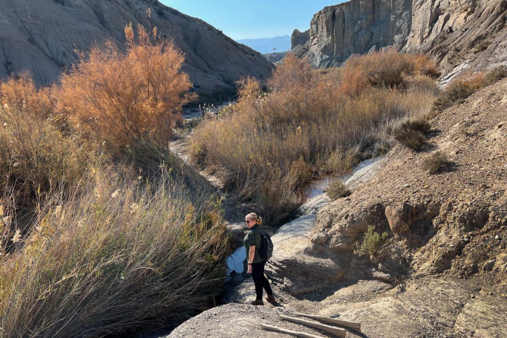 Oase Tabernas - Wandelen in Tabernaswoestijn naar de oase van Lawrence of Arabia - Reislegende.nl