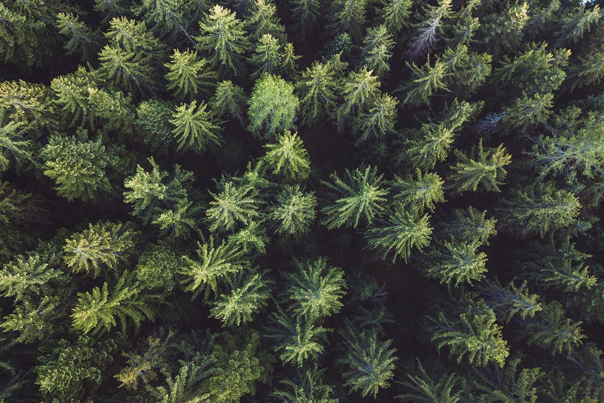 Deze talen worden in Zwitserland met uitsterven bedreigd - Reislegende.nl