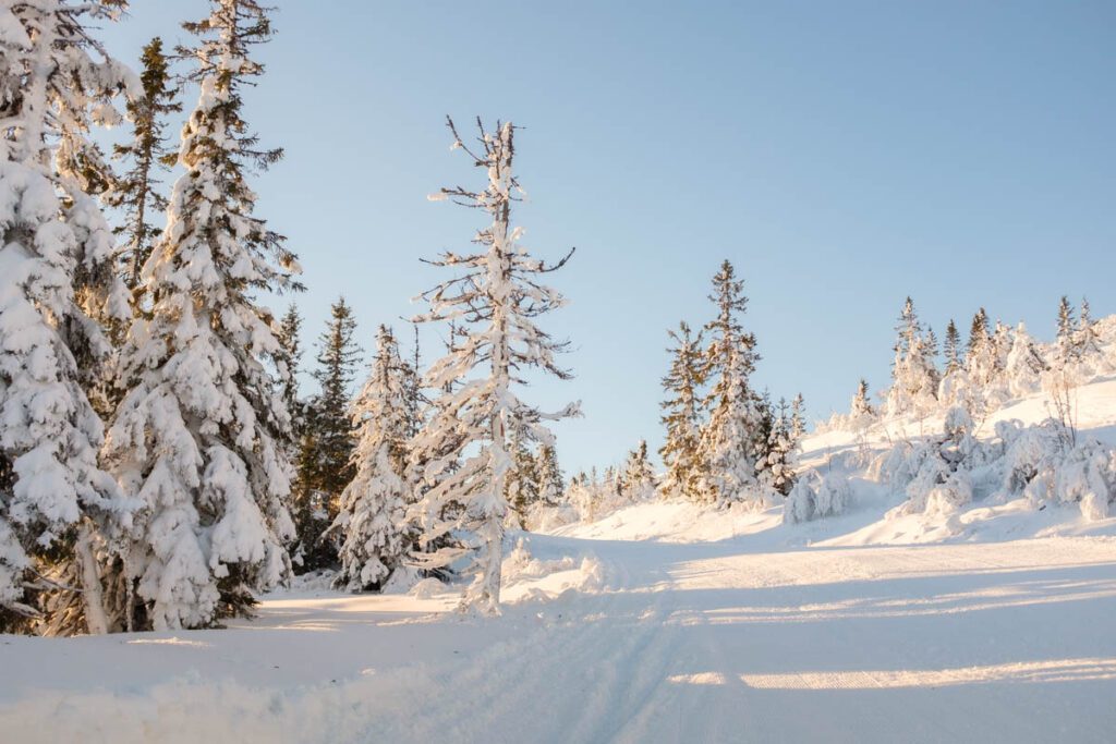 Skiën in Trysil - Wintersport in Trysil, grootste skigebied van Noorwegen - Reislegende.nl