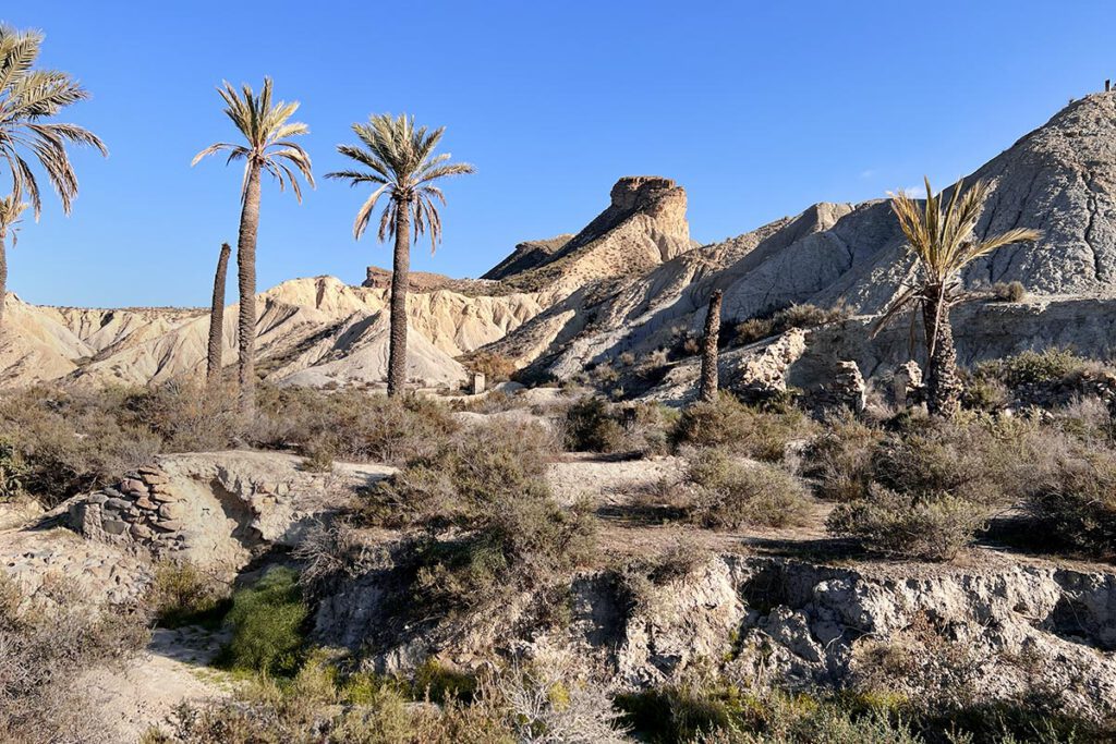 Wandelen in Tabernaswoestijn naar de oase van Lawrence of Arabia - Reislegende.nl