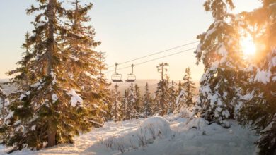 Wintersport in Trysil, grootste skigebied van Noorwegen - Reislegende.nl